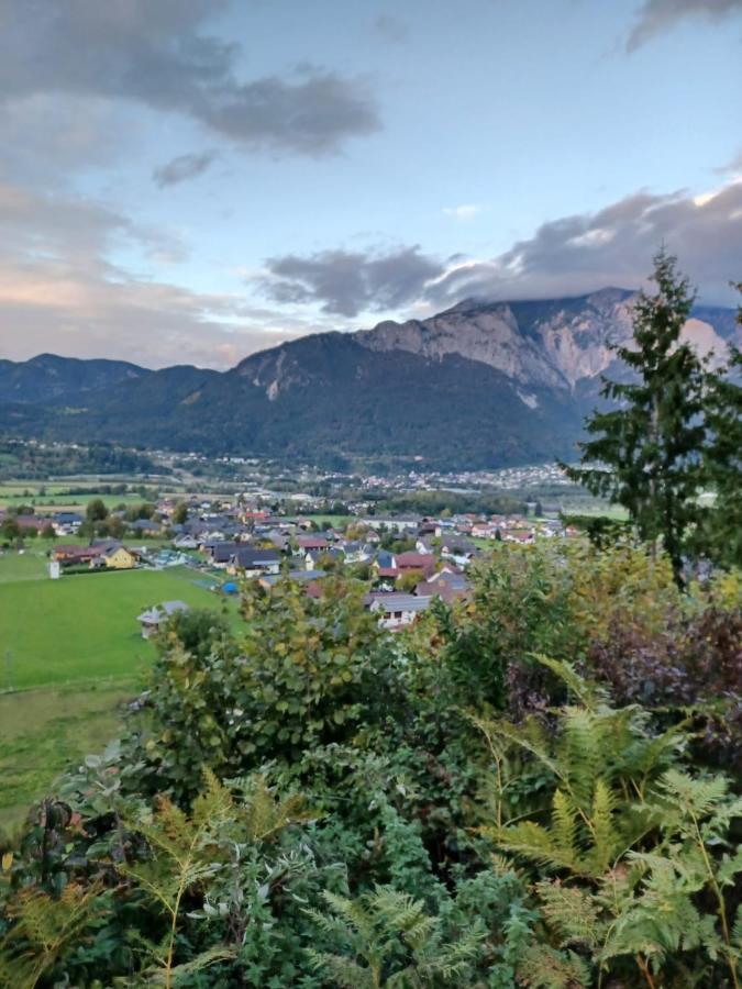 Ferienwohnung Gaensebluemchen Feistritz an der Gail エクステリア 写真