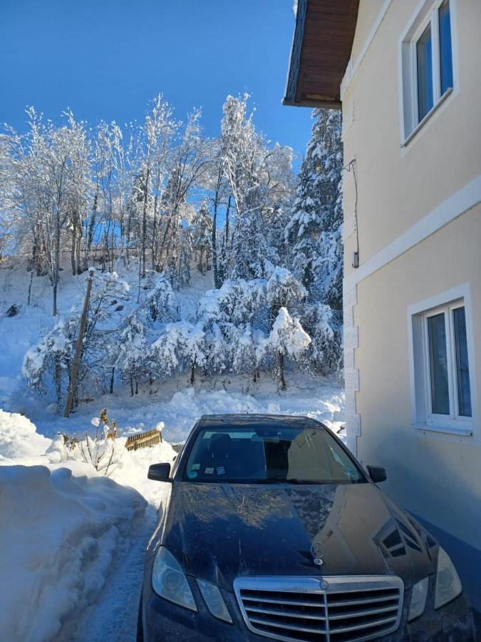 Ferienwohnung Gaensebluemchen Feistritz an der Gail エクステリア 写真